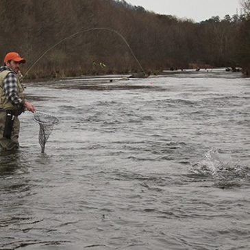 3 Springtime Fly Fishing Hints